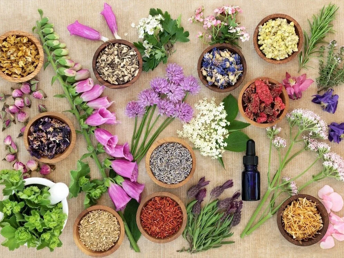 Scents and Sensibility