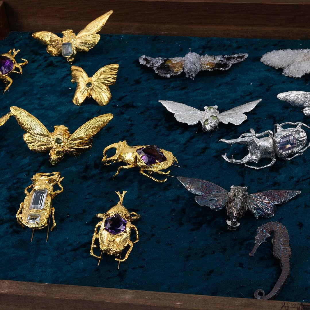 The Polska Traveller