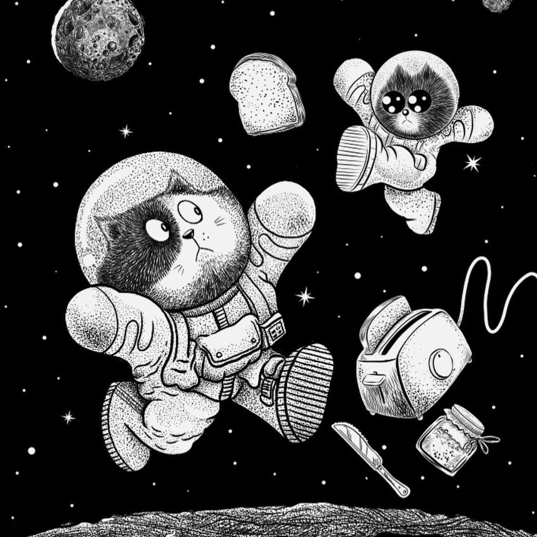 My Space Cats